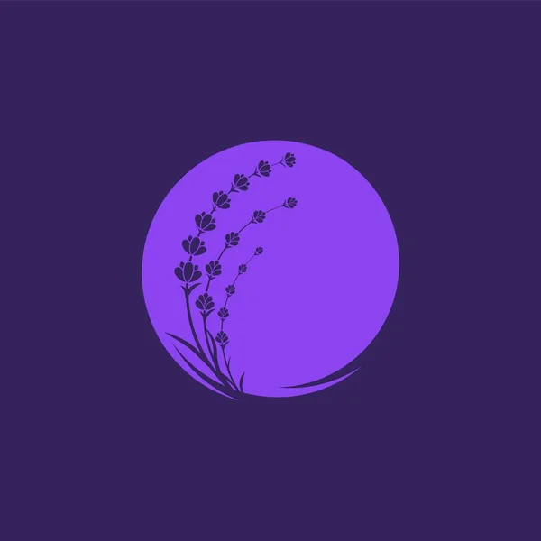 Fleur de lavande Illustration d'icône vectorielle — Image vectorielle