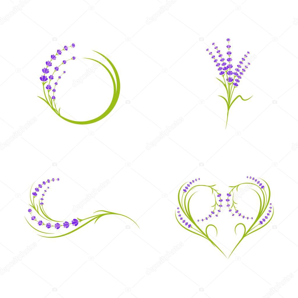 Lavender flower Vector icon illustration design Template