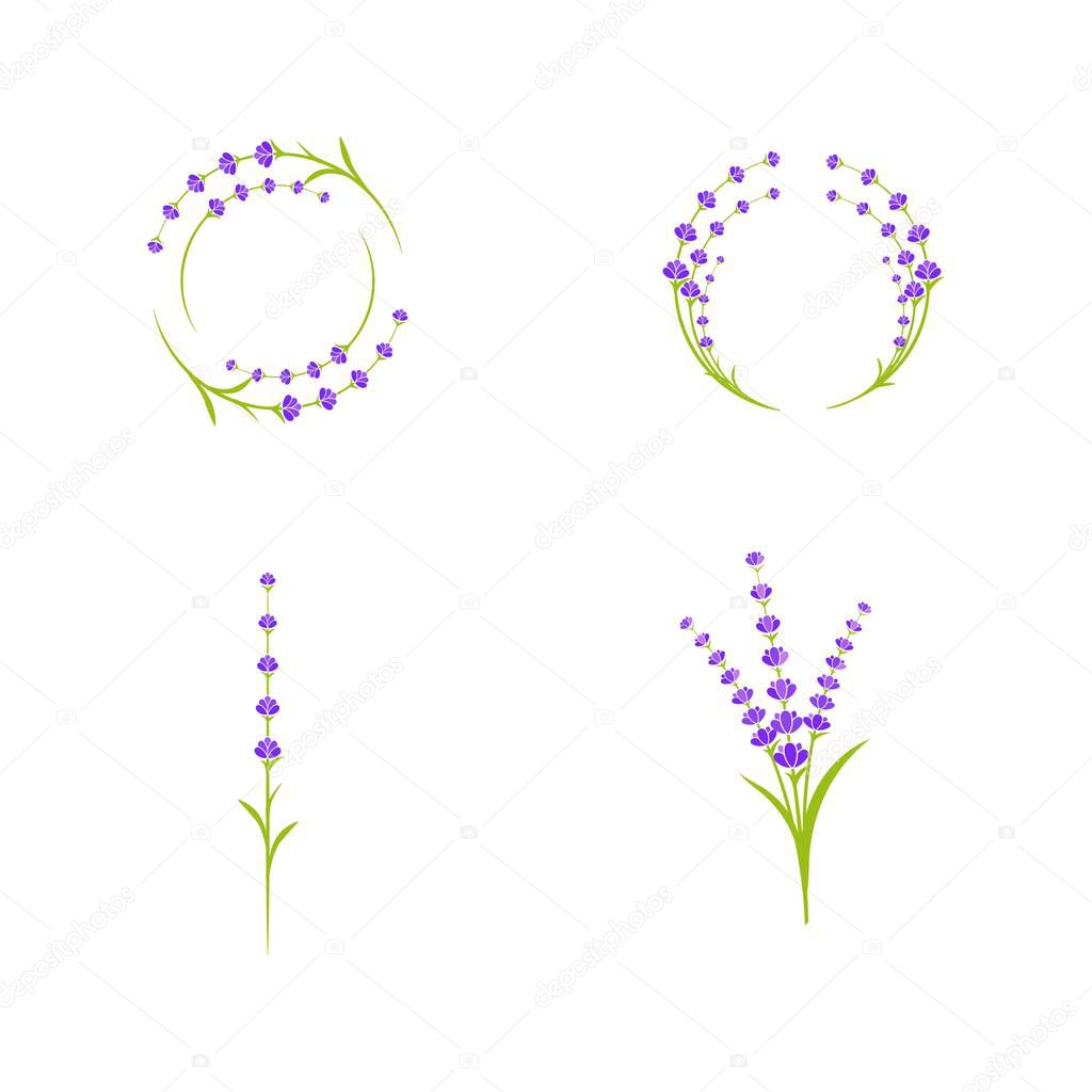 Lavender flower Vector icon illustration design Template