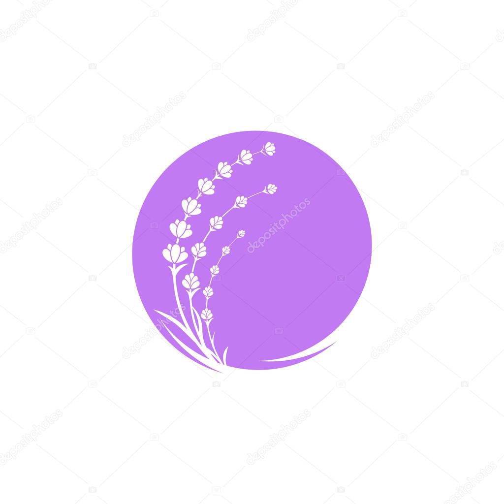 Lavender flower Vector icon illustration design Template