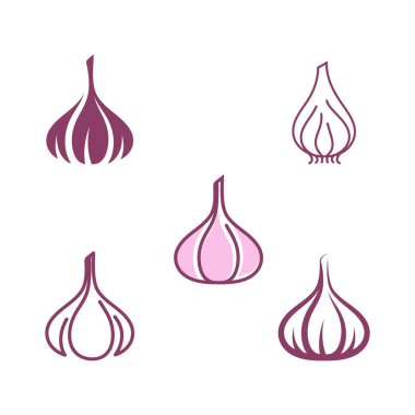 Sarımsak vektör resimleme tasarımı