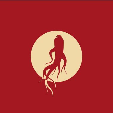 Ginseng vektör resimleme
