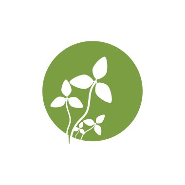 Clover icon Vector Illustration design Logo