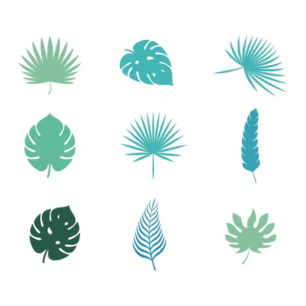 Palm Leaf Векторні ілюстрації — стоковий вектор