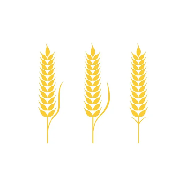 Mezőgazdaság Búza Vektor Ikon Design Illusztráció — Stock Vector