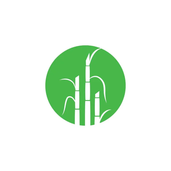Шаблон Логотипа Векторной Иллюстрации Сахарного Тростника — стоковый вектор