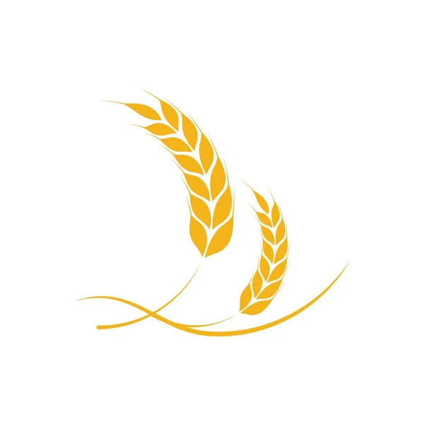Шаблон Логотипа Векторной Иллюстрации Пшеницы — стоковый вектор