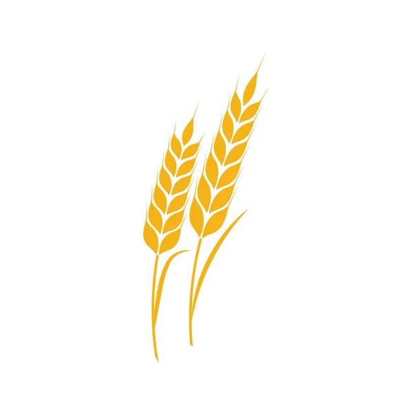 Wheat Icon Vector Illustration Design Logo Template — Stock Vector