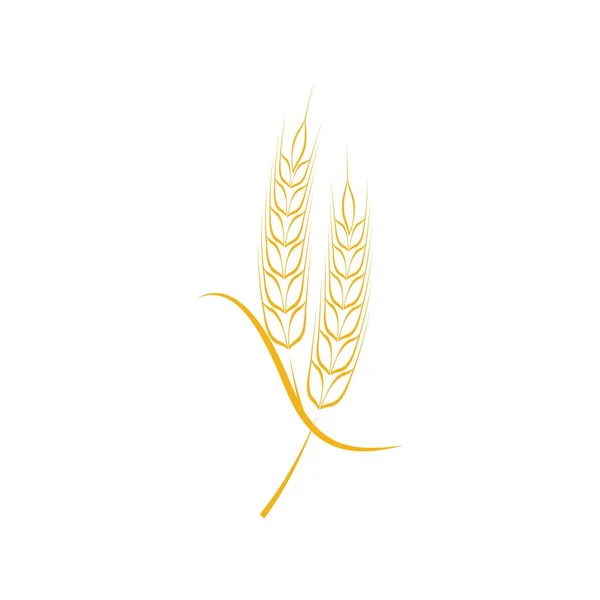 Weizen Symbol Vektor Illustration Design Logo Vorlage — Stockvektor