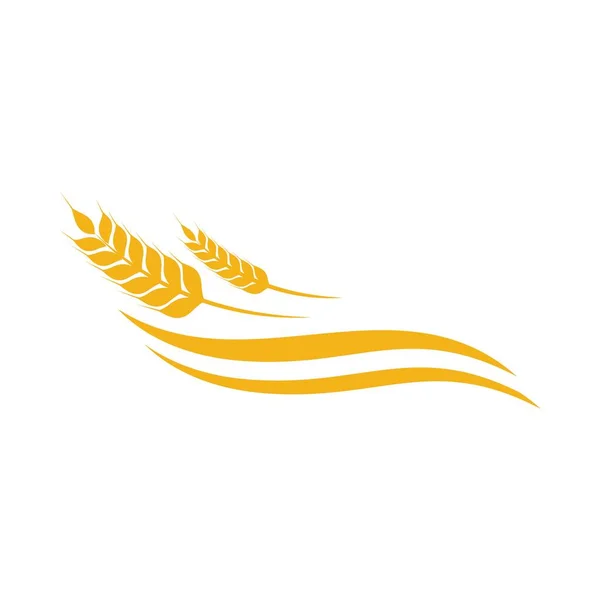 Wheat Icon Vector Illustration Design Logo Template — Stock Vector