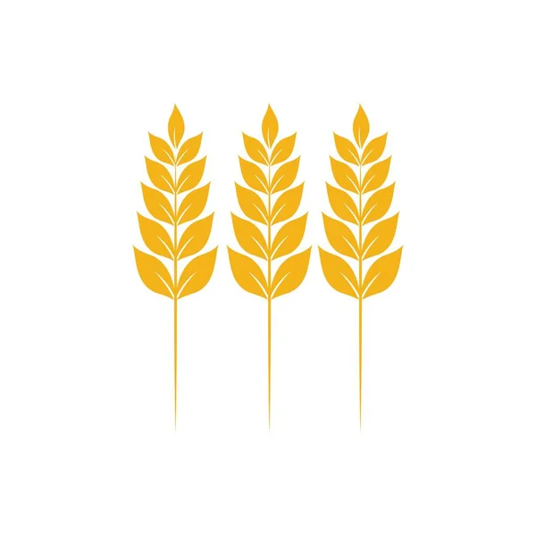 Піктограма Пшениці Векторний Дизайн Ілюстрація Шаблон Логотипу — стоковий вектор