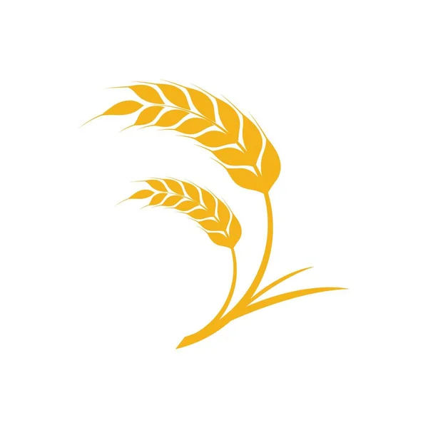 Ikona Pšenice Vektor Ilustrace Design Logo Šablona — Stockový vektor