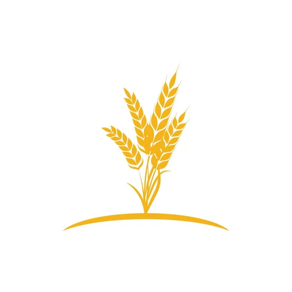Wheat Icon Vector Illustration Design Logo Template — Stock Vector