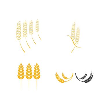 Buğday Simgesi Vektör İllüstrasyon Tasarım Logo şablonunu Ayarla