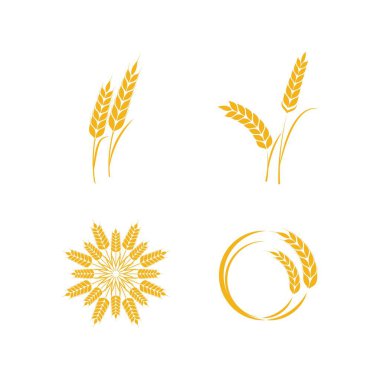 Buğday Simgesi Vektör İllüstrasyon Tasarım Logo şablonunu Ayarla