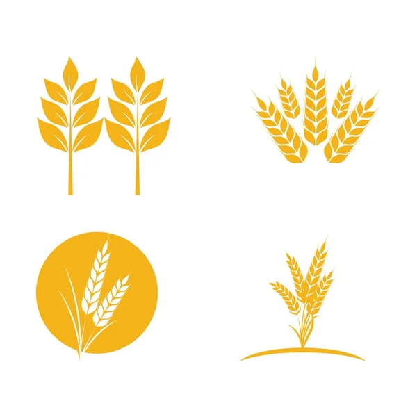 Набор Векторной Иллюстрации Иконки Пшеницы Шаблон Логотипа — стоковый вектор