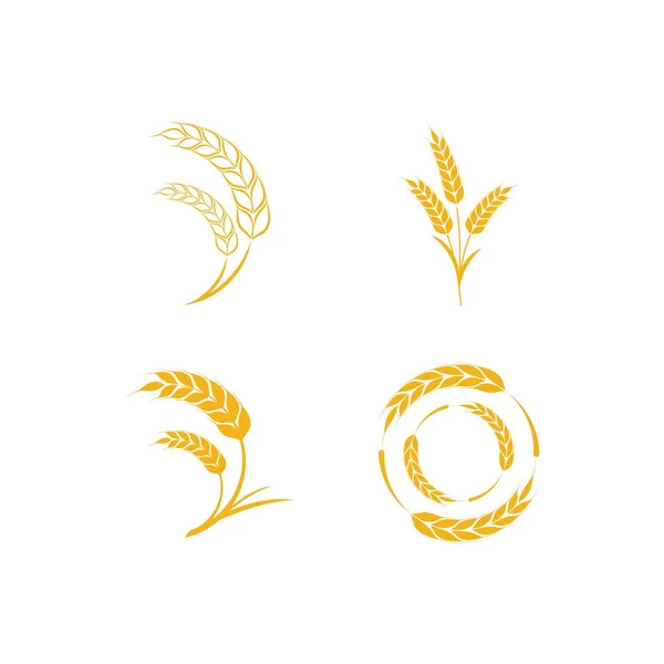 Set Icono Trigo Vector Diseño Ilustración Logo Plantilla — Archivo Imágenes Vectoriales