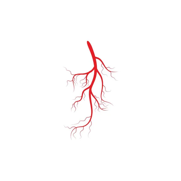 Arterien Symbol Vektor Illustration Design Logo Vorlage — Stockvektor