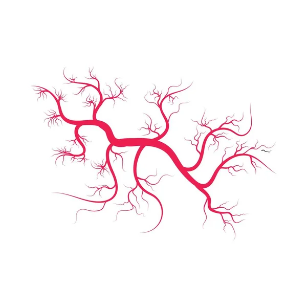 Icona Delle Arterie Disegno Dell Illustrazione Vettoriale Modello Logo — Vettoriale Stock