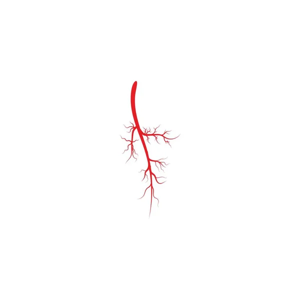 Icono Arterias Vector Diseño Ilustración Logo Plantilla — Archivo Imágenes Vectoriales