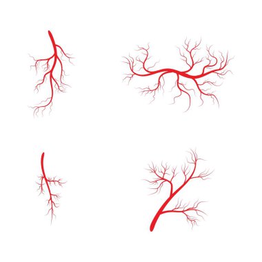 Damarlar simgesi Vektör İllüstrasyon Tasarım Logo şablonunu Ayarla