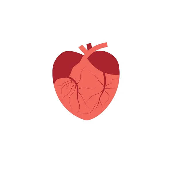 Arteri Vector Illustration Design Modello Logo — Vettoriale Stock