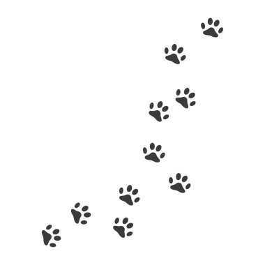 Paw tasarım vektör çizim şablonu