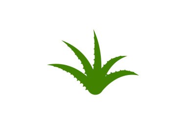 Aloe vera vektör çizim ikonu şablonu