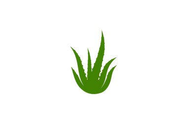Aloe vera vektör çizim ikonu şablonu