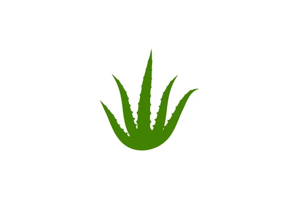 Aloe Vera Vector Ilustración Diseño Icono Plantilla — Vector de stock