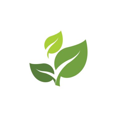 Yeşil ağaç yaprağı ekoloji doğa elementi vektörü logoları