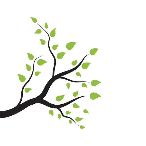 Tree Branch Vector Ilustration Design Template — Stock Vector