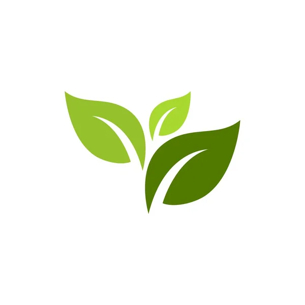 Logos Green Tree Ecology Nature Element Vector - Stok Vektor