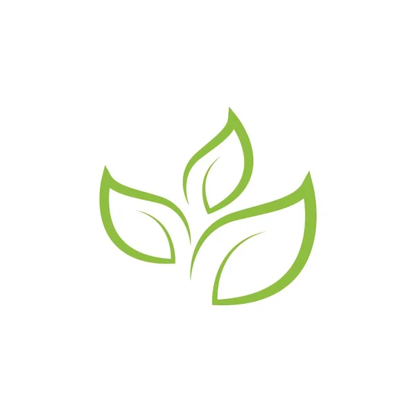 Logo Uri Verde Ecologie Frunze Copac Element Natural Vector — Vector de stoc