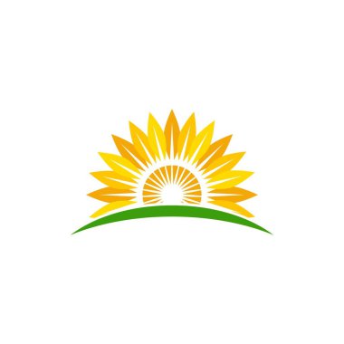 ayçiçeği vektör ikonu tasarım şablonu çizimi