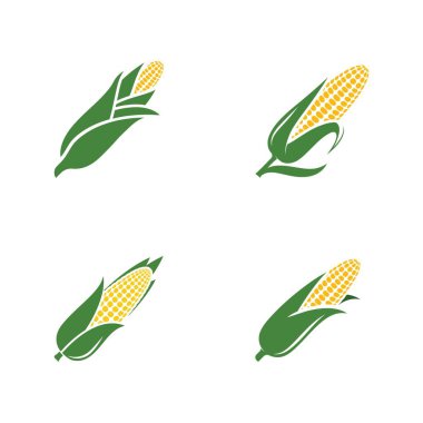 Tarım mısırı vektör tasarım şablonu