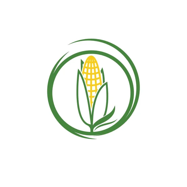 Modelo Design Ícone Vetor Milho Agricultura —  Vetores de Stock