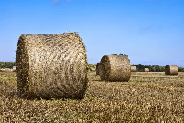 Hay Bales - Landscape of Nature — Stock Photo, Image