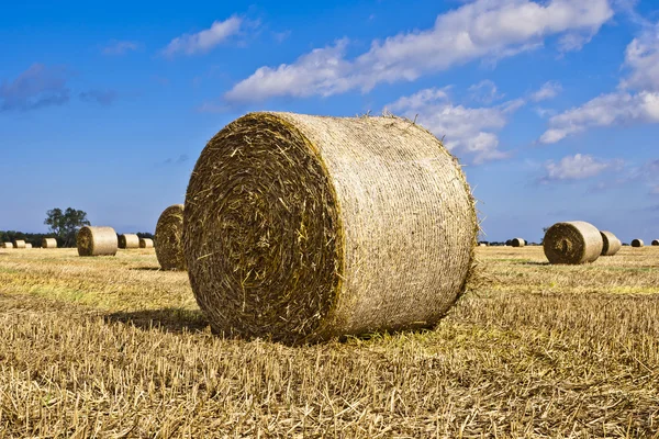 Hay Bales - Landscape of Nature — Stock Photo, Image