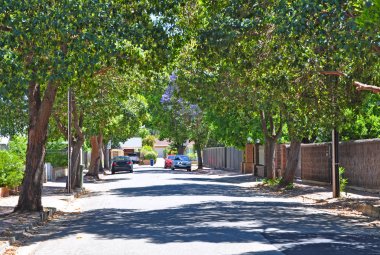 yeşil ağaçlar, küçük banliyö sokak dolu. Adelaide, Avustralya