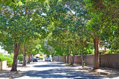 yeşil ağaçlar, küçük banliyö sokak dolu. Adelaide, Avustralya