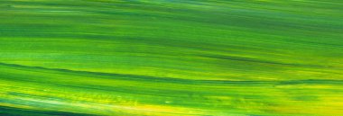 Yaratıcı yeşil el boyası arka plan, duvar kağıdı, doku, fırça darbeleriyle tuval üzerinde akrilik boya. Modern sanat. Çağdaş sanat.