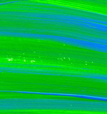 Yaratıcı yeşil ve mavi soyut el boyası arka plan, duvar kağıdı, doku, fırça darbeleriyle akrilik resmin yakın plan parçası