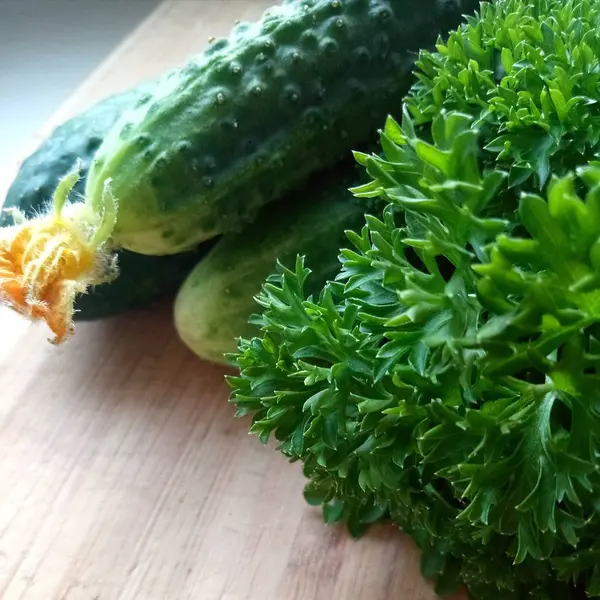 Frische Garten Bio-Gurken mit Pickeln — Stockfoto