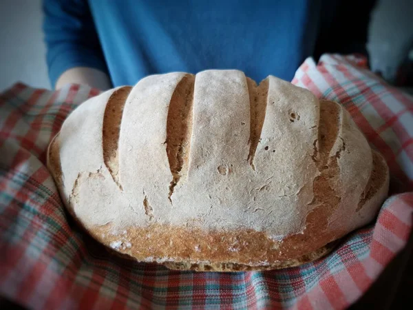 Pan de centeno casero con masa fermentada se lleva a cabo en las manos y en una toalla —  Fotos de Stock