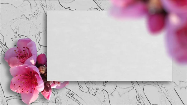 Rahmen mit Sakura-Blumen. — Stockfoto