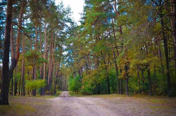 Bellissimo parco autunnale a Kiev, Ucraina — Foto Stock