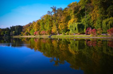 Sonbahar yaprakları, göl ve gökyüzü karşı akça ağaç dalları. Park güneşli bir günde.