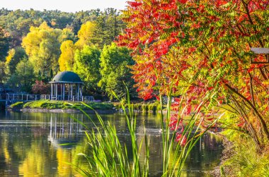 Sonbahar yaprakları, göl ve gökyüzü karşı akça ağaç dalları. Park güneşli bir günde.