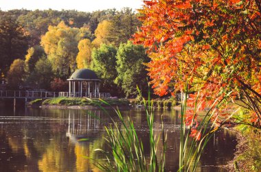 Sonbahar yaprakları, göl ve gökyüzü karşı akça ağaç dalları. Park güneşli bir günde.